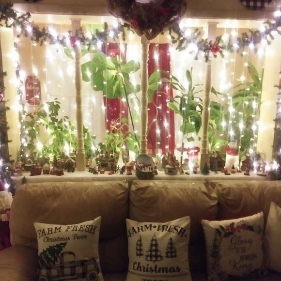 Meet your Posher, Carlos rodriguez - Picture 4 of 7